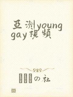亚洲younggay视频