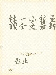 林一小说免费阅读全文最新章节