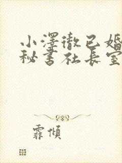 小泽彻已婚人妻秘书社长室