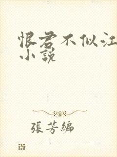 恨君不似江楼月小说封面