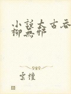 小说太古吞天诀柳无邪