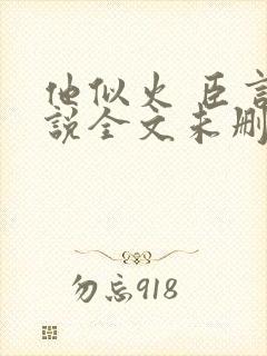 他似火 臣言小说全文未删减免费阅读封面