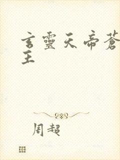 玄灵天帝苍天霸主