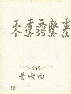 正者无敌电视剧全集35集在线播放