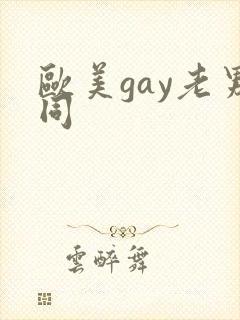 欧美gay老男同封面