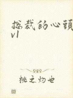 总裁的心头宝1v1