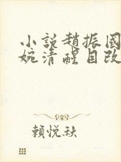 小说赵振国,宋婉清醒目改变