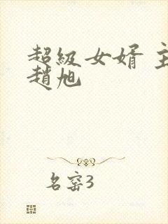 超级女婿 主角赵旭