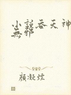 小说吞天神鼎柳无邪封面