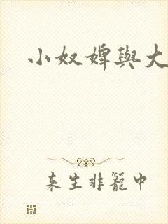 小奴婢与大少爷