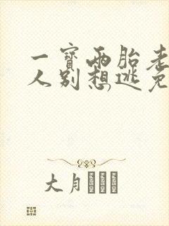 一宝两胎老婆大人别想逃免费阅读