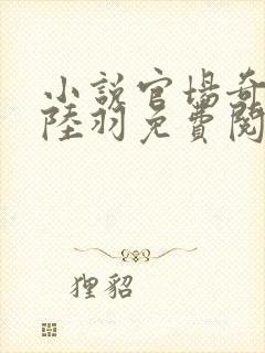 小说官场奇才 陆羽免费阅读