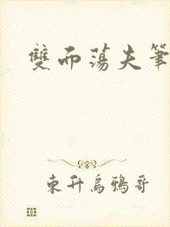 双面荡夫笔趣阁