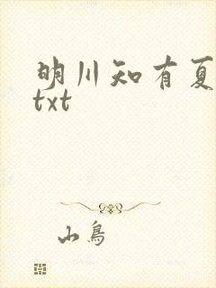 明川知有夏小说txt
