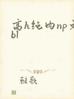 高h纯肉np文bl