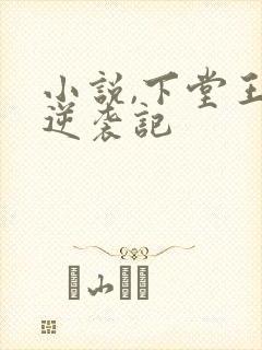 小说,下堂王妃逆袭记