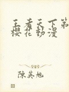 王者天下第六季樱花动漫