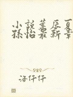 小说叶辰夏若雪孙怡最新章节