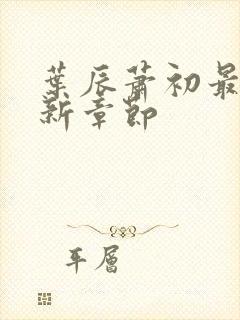 叶辰萧初最新更新章节