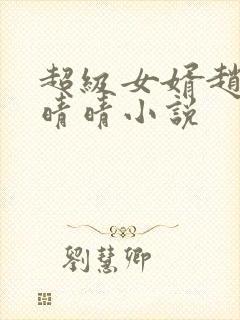 超级女婿赵旭李晴晴小说