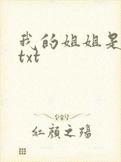 我的姐姐是美女txt