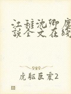 江稚沈卿尘的小说全文在线阅读无弹窗