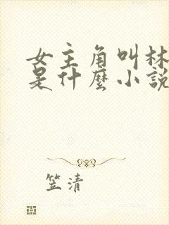 女主角叫林柔的是什么小说