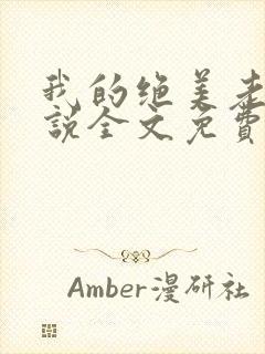 我的绝美老婆小说全文免费阅读