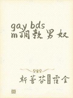 gay bdsm调教男奴