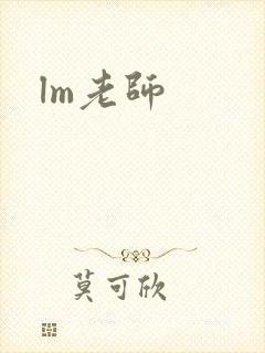 lm老师