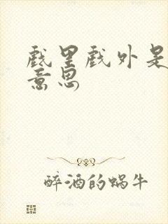 戏里戏外是什么意思