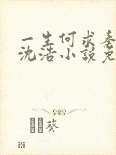 一生何求秦菲雪沈浩小说免费阅读全文笔趣阁封面