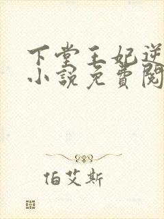 下堂王妃逆袭记小说免费阅读全文