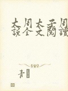 大周太子周铮小说全文阅读无弹窗封面
