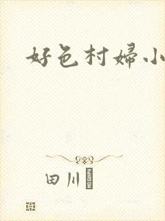 好色村妇小银贼封面