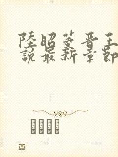 陆昭菱晋王的小说最新章节