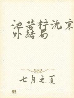 池若柠沈寒声番外结局
