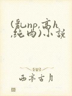 (乱np,高h,纯肉)小说