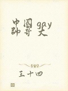 中国 gay 帅哥 大