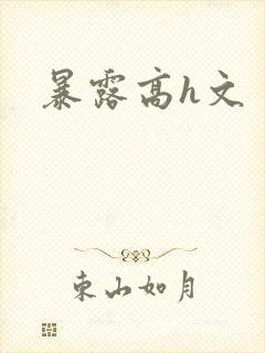 暴露高h文