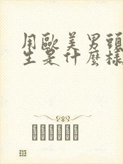 用欧美男头的男生是什么样的封面