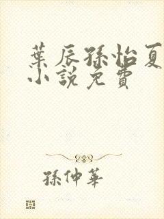 叶辰孙怡夏若雪小说免费