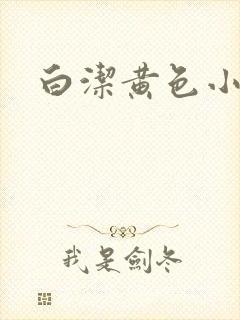 白洁黄色小说