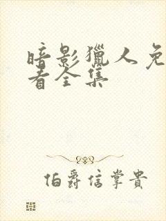 暗影猎人免费观看全集