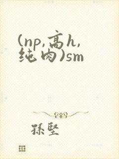 (np,高h,纯肉)sm