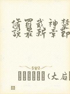 修罗武神楚枫小说最新章节阅封面