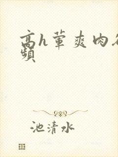 高h荤爽肉欲视频