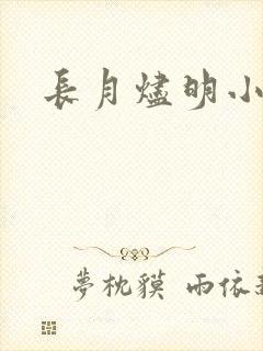 长月烬明小说封面