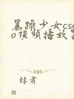 暴躁少女csgo视频播放器推荐