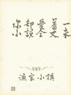 你却爱着一个他小说全文未删减免费